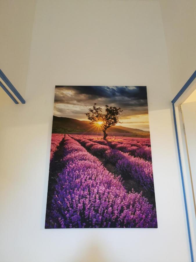 Mas De Ferigoulet -"La Rose Des Vents"& Univers Enfants "Lou Pitchoun" Orgon Exterior foto